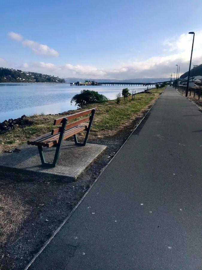 Harbour Side Views Villa Dunedin Esterno foto